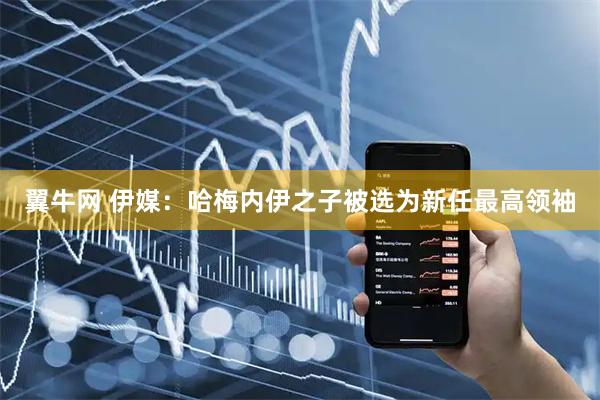 翼牛网 伊媒：哈梅内伊之子被选为新任最高领袖