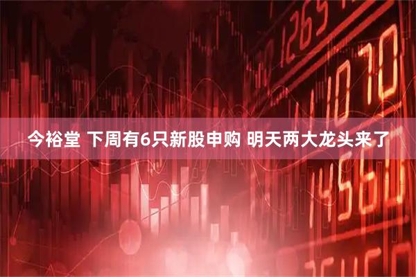 今裕堂 下周有6只新股申购 明天两大龙头来了