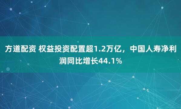 方道配资 权益投资配置超1.2万亿，中国人寿净利润同比增长44.1%