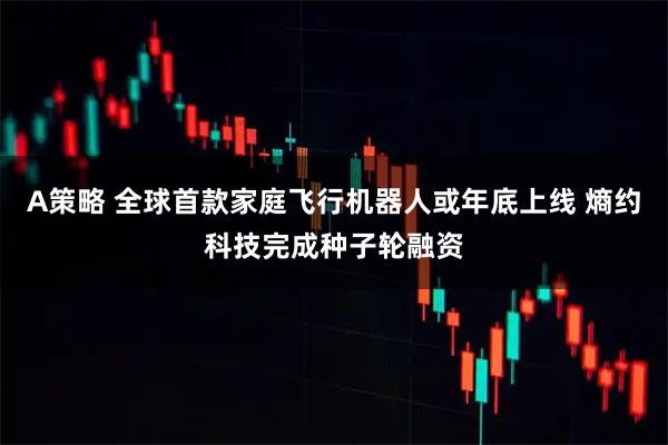 A策略 全球首款家庭飞行机器人或年底上线 熵约科技完成种子轮融资