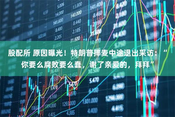 股配所 原因曝光！特朗普摔麦中途退出采访：“你要么腐败要么蠢，谢了亲爱的，拜拜”