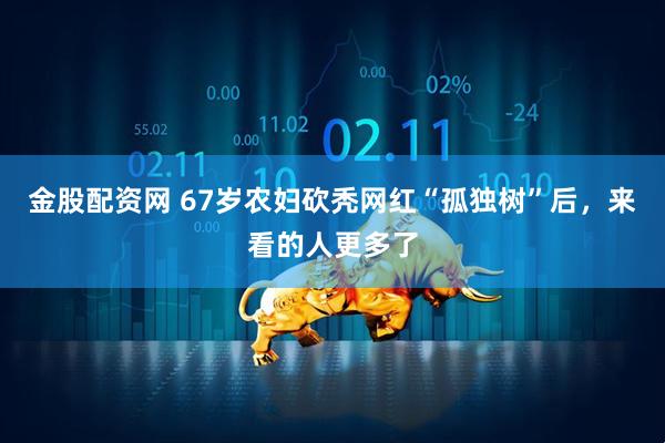金股配资网 67岁农妇砍秃网红“孤独树”后，来看的人更多了