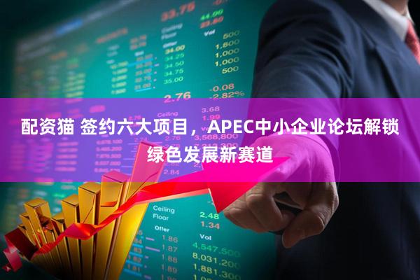 配资猫 签约六大项目，APEC中小企业论坛解锁绿色发展新赛道