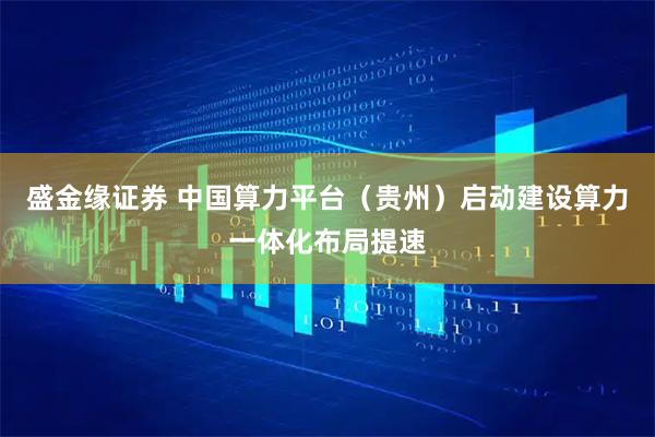 盛金缘证券 中国算力平台（贵州）启动建设算力一体化布局提速