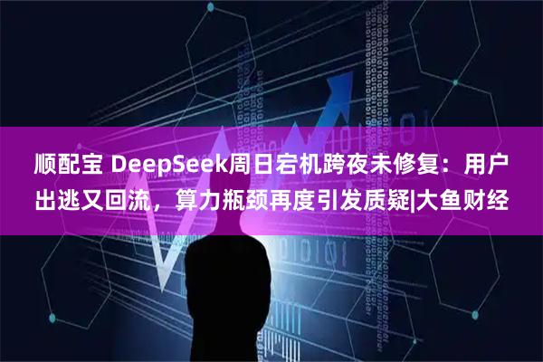 顺配宝 DeepSeek周日宕机跨夜未修复：用户出逃又回流，算力瓶颈再度引发质疑|大鱼财经