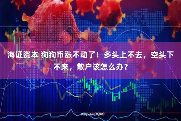 海证资本 狗狗币涨不动了！多头上不去，空头下不来，散户该怎么办？