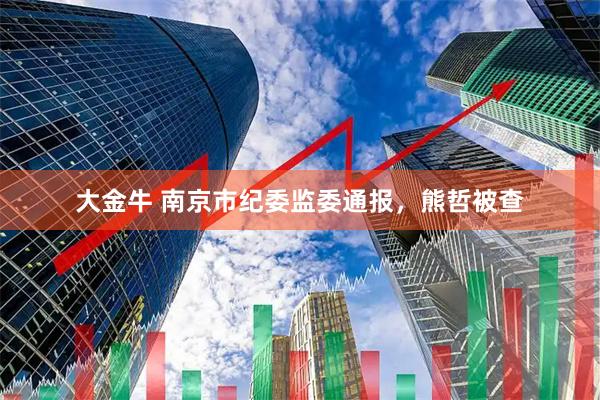 大金牛 南京市纪委监委通报，熊哲被查