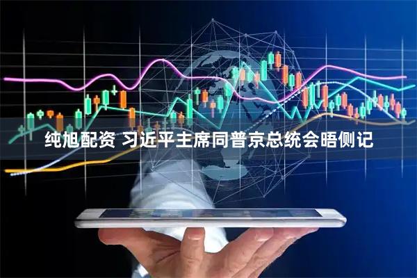 纯旭配资 习近平主席同普京总统会晤侧记