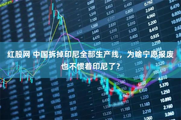 红股网 中国拆掉印尼全部生产线，为啥宁愿报废也不惯着印尼了？