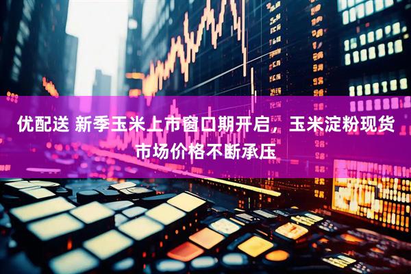 优配送 新季玉米上市窗口期开启，玉米淀粉现货市场价格不断承压